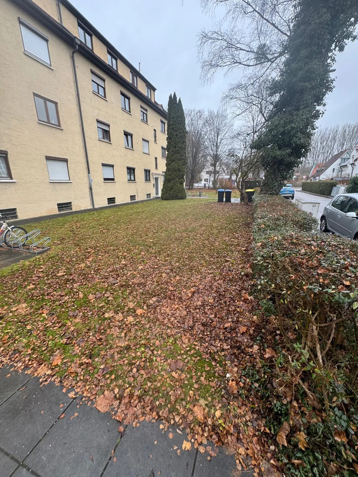 Rasenfläche neben einem Gebäude mit Laub